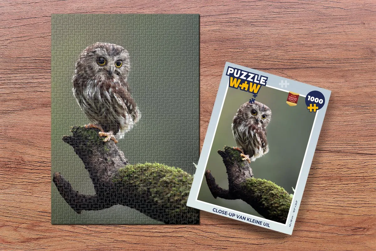 PuzzleWow Legpuzzel Close-up Uil 1000 Stuks - Multicolor