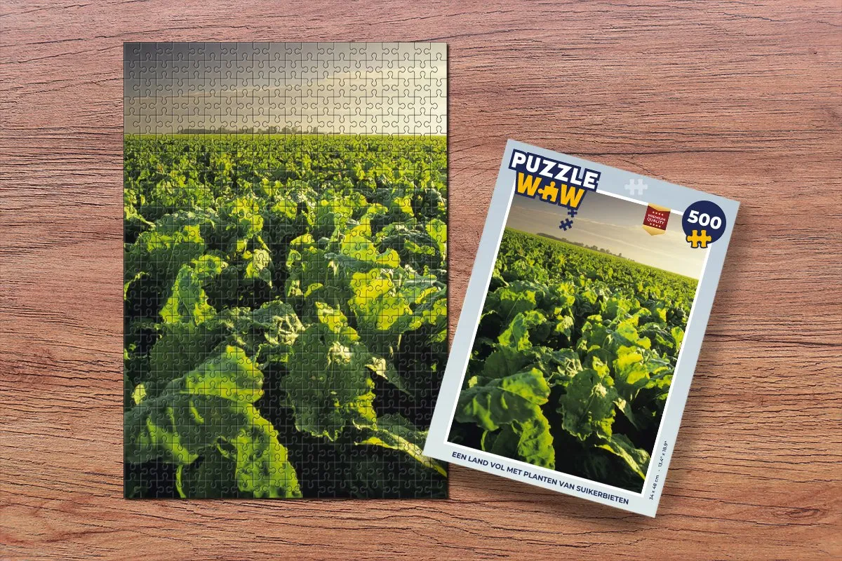 PuzzleWow Legpuzzel Een land vol met planten van suikerbieten 500 Stuks - Multicolor