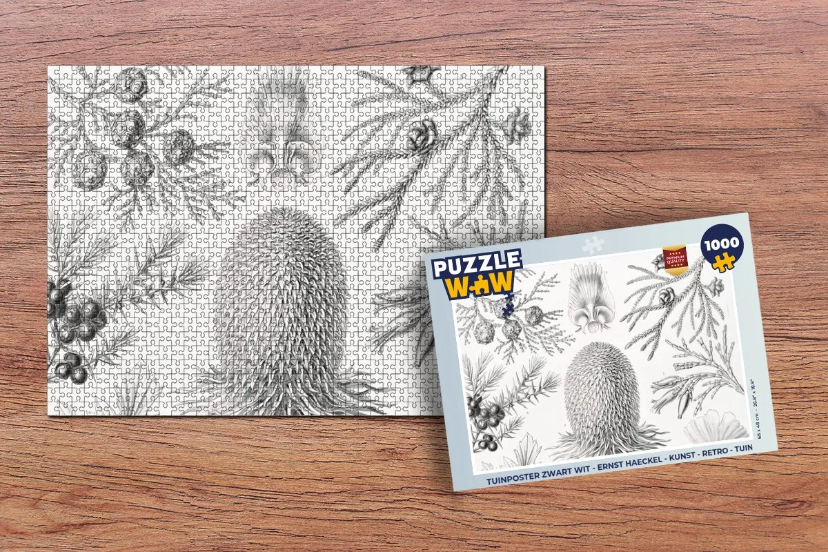 PuzzleWow Ernst Haeckel Coniferen Legpuzzel 1000 Stuks - Multicolor