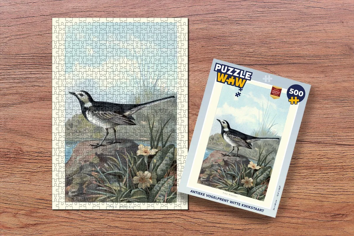 PuzzleWow Antieke Vogelprent Witte Kwikstaart Legpuzzel 500 Stuks