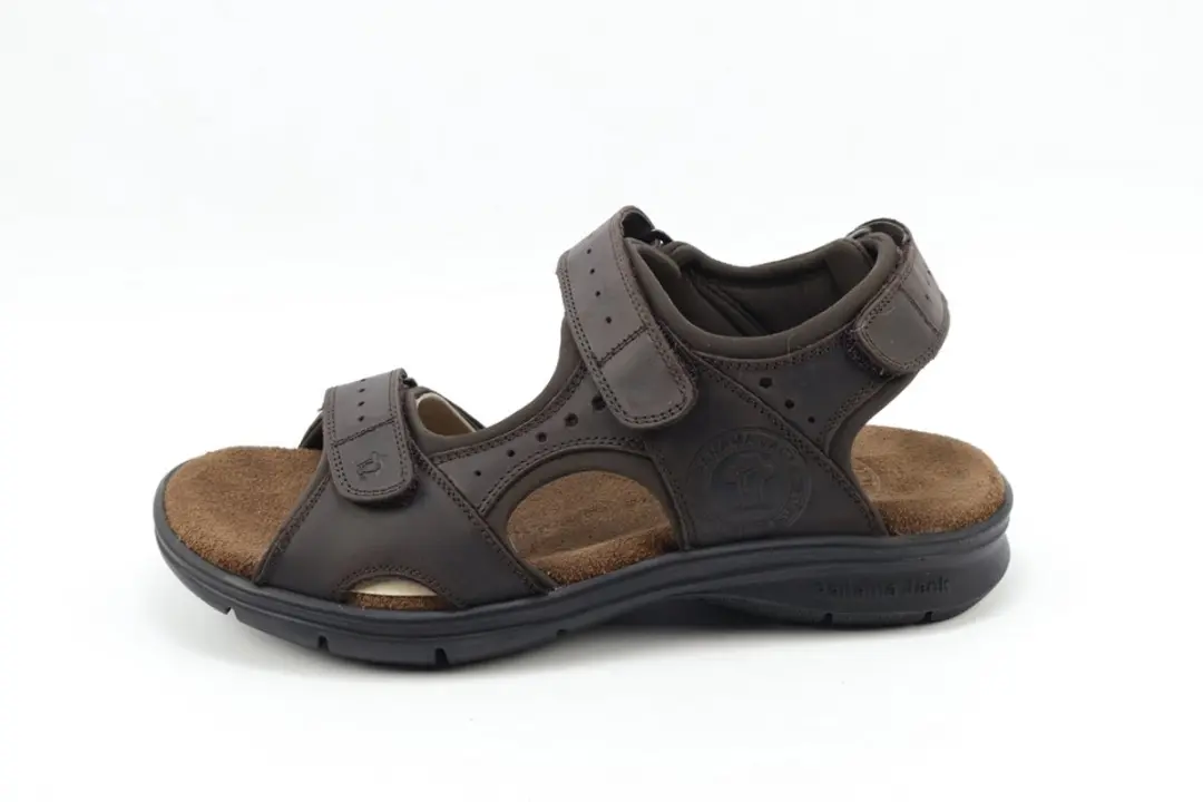 Panama Jack Salton basics C1