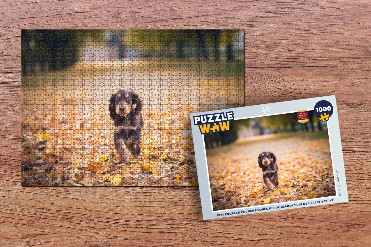 PuzzleWow Legpuzzel Een Engelse Cockerspaniëel Herfst 1000 Stuks