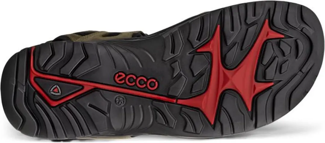 Ecco Offroad Heren Sandaal - Bruin - Maat 40