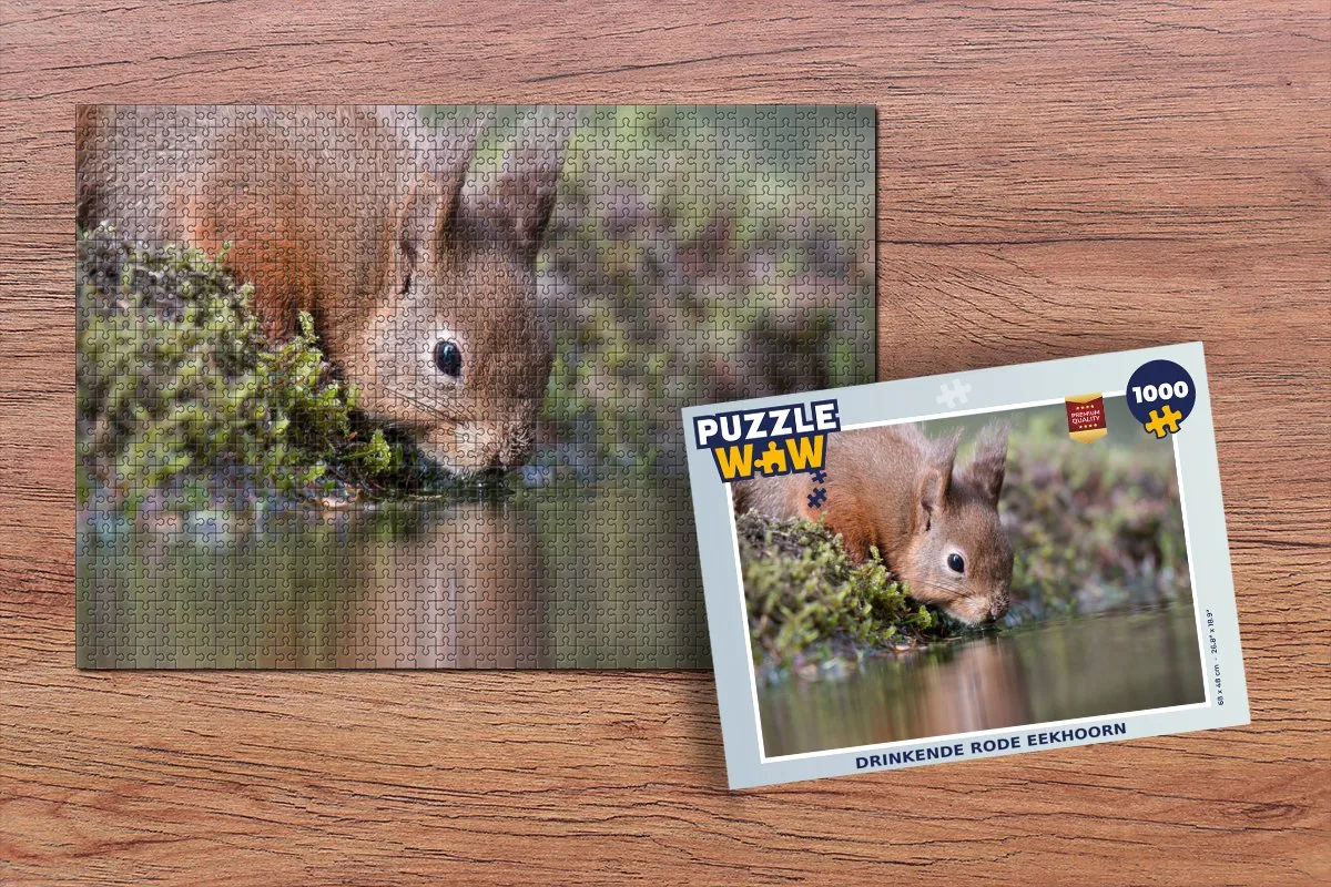 PuzzleWow Legpuzzel Eekhoorn 1000 Stuks - Multicolor