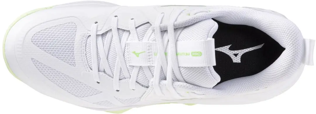 Mizuno Wave Momentum Pro Volleybalschoenen Dames - Wit/Zwart