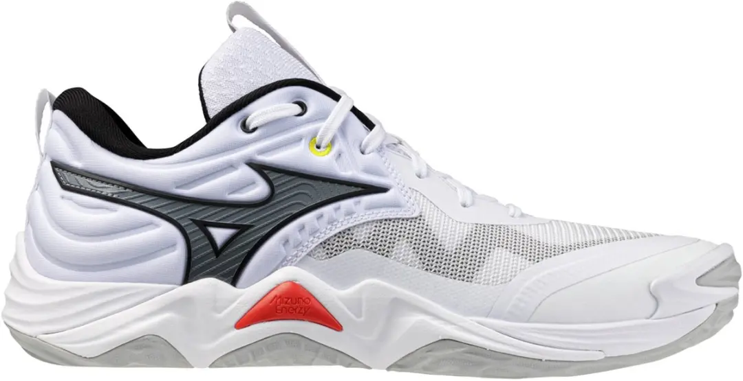 Mizuno Wave Momentum Elite Indoor Schoenen