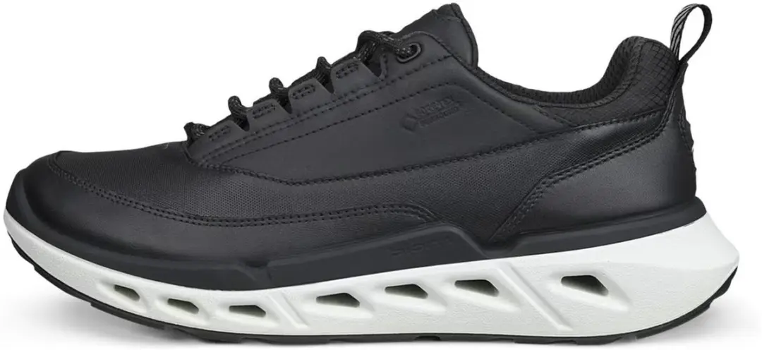 Schoenen dames Ecco Biom 720 Lea GTXS