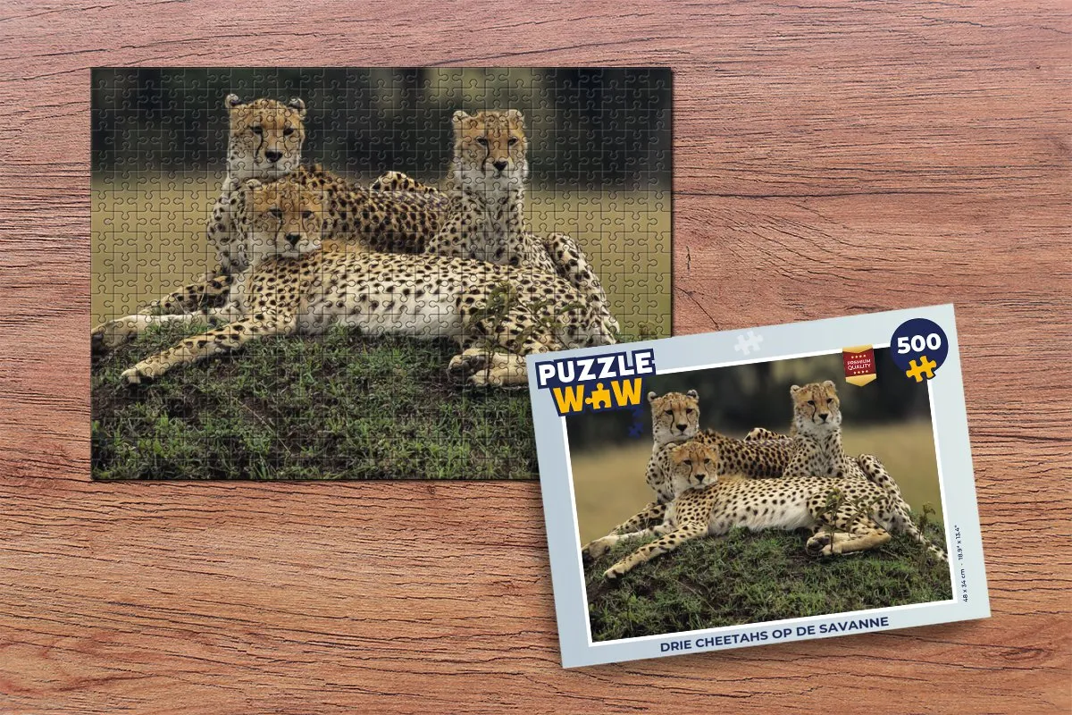 PuzzleWow Legpuzzel 500 Stuks - Drie Cheetahs op de Savanne Multicolor