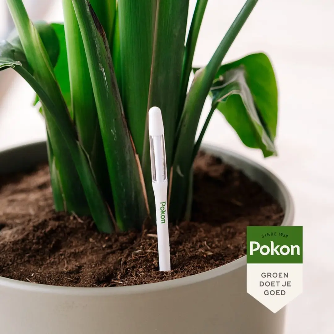 Pokon Vochtmeter Kamerplanten - Watermeter