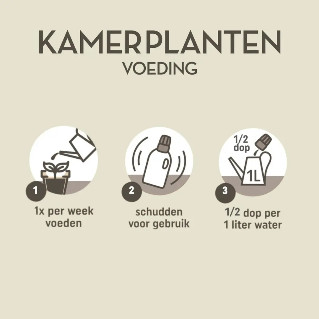 Pokon Kamerplanten Voeding 500ml - afbeelding 4 van 6