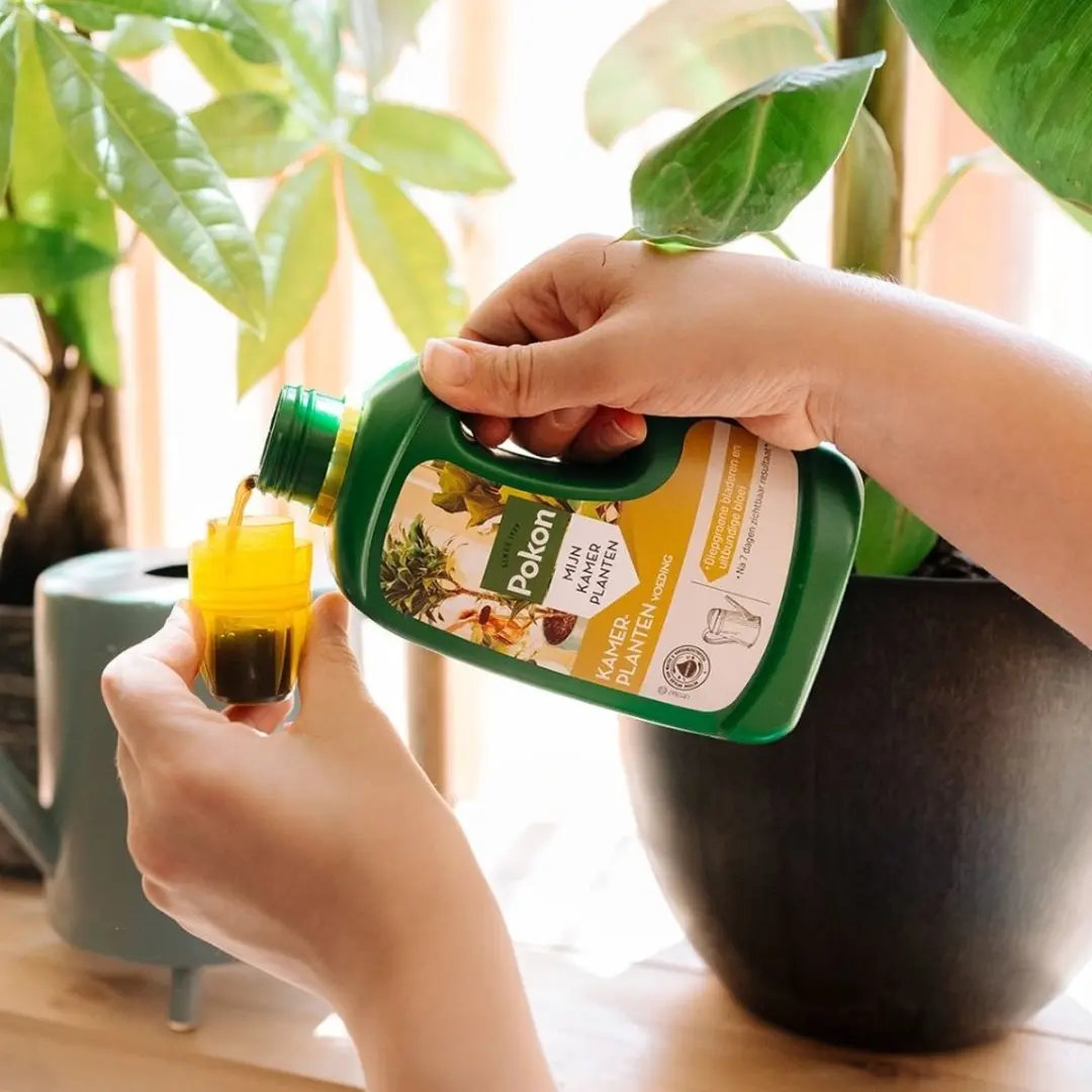 Pokon Kamerplanten Voeding 500ml - afbeelding 5 van 6