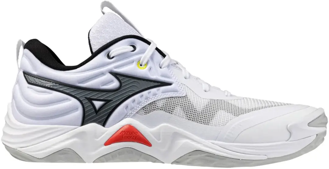 Mizuno Wave Momentum Elite Indoor Schoenen