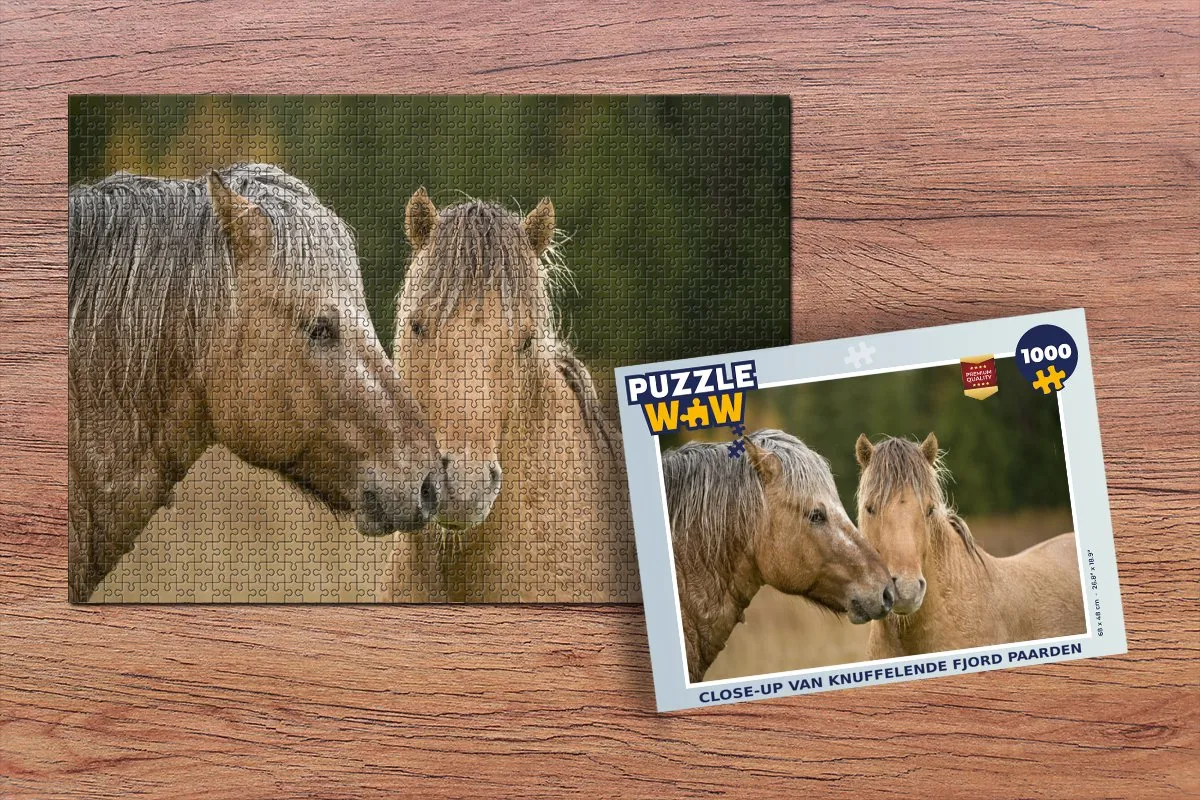 PuzzleWow Legpuzzel 1000 Stuks - Multicolor