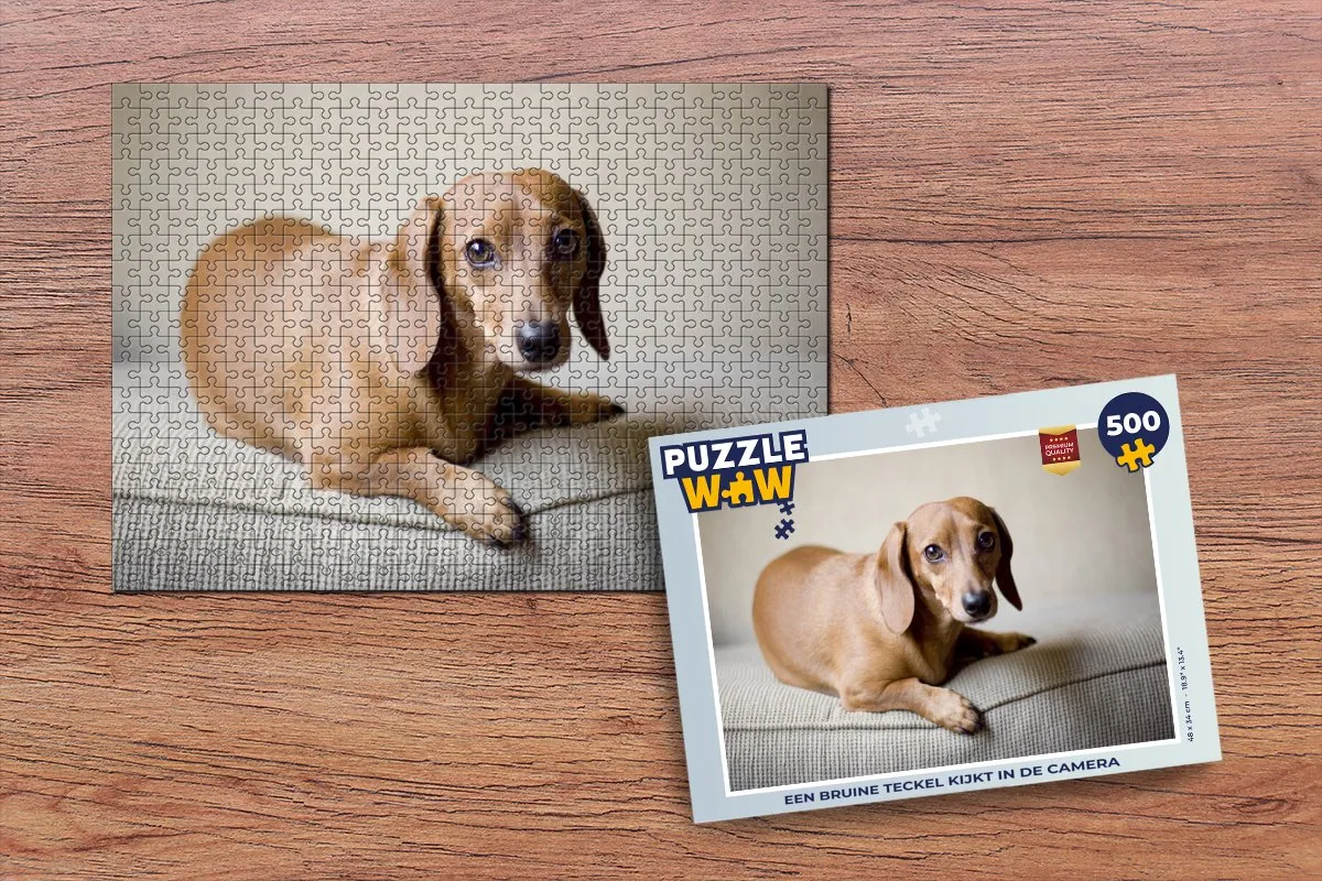 PuzzleWow Legpuzzel Een bruine Teckel 500 Stuks