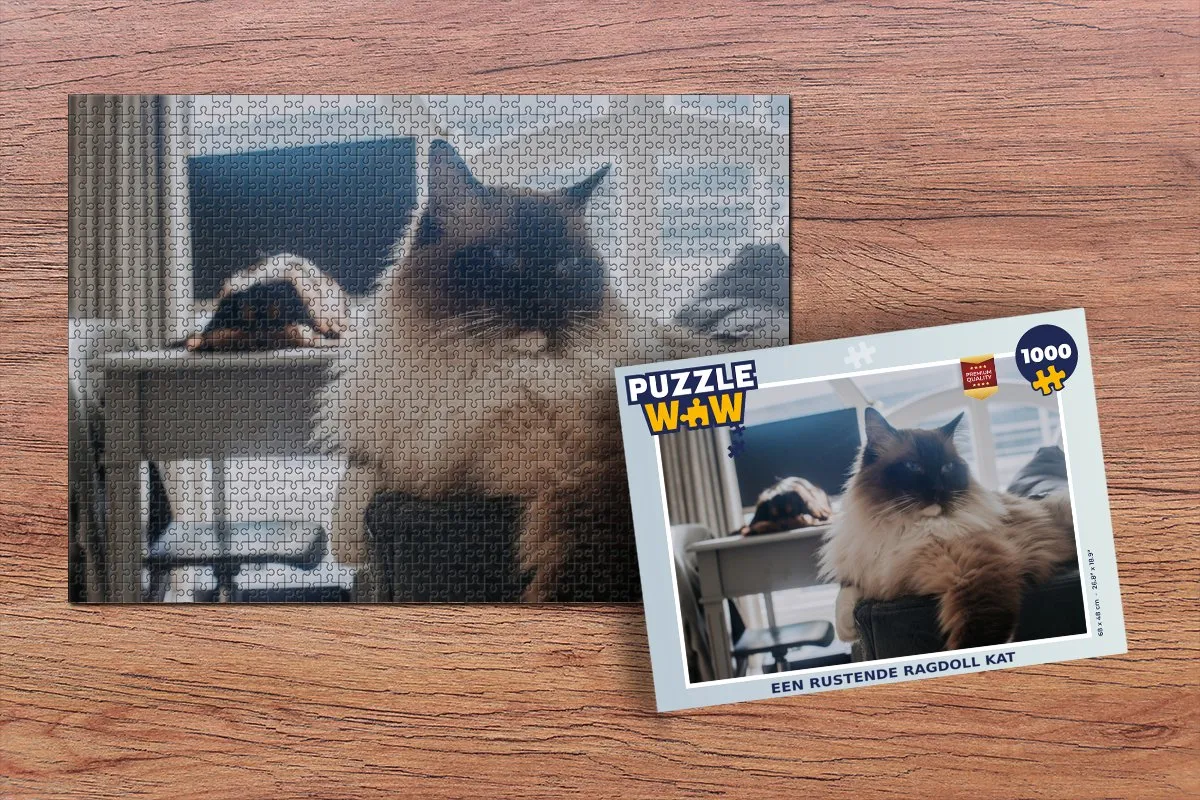 PuzzleWow Legpuzzel Een Rustende Ragdoll Kat 1000 Stuks - Multicolor