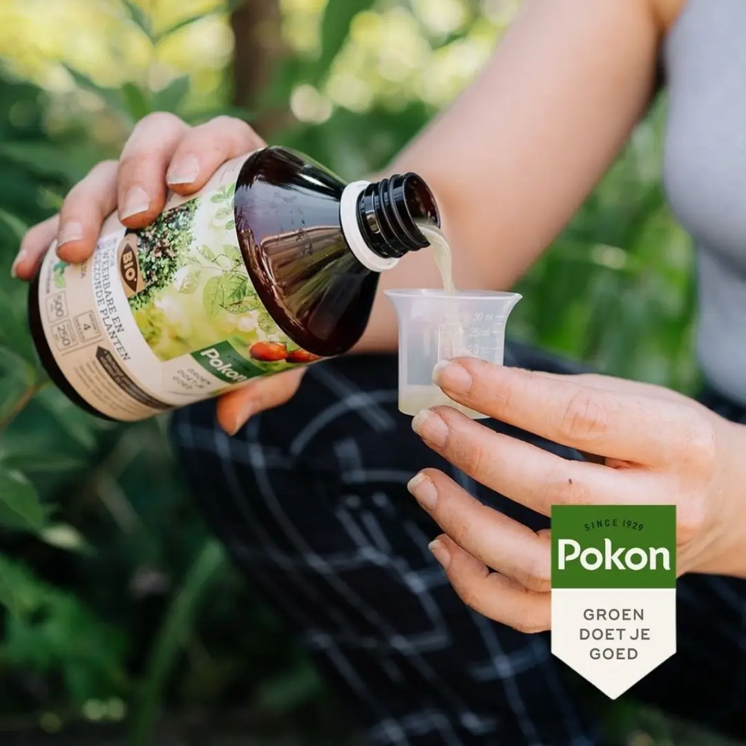 Pokon Bio Kuur Concentraat 500ml - o.a. moestuin/fruit - afbeelding 6 van 6