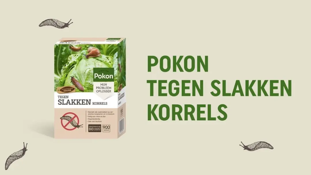 Pokon Bio Slakkenkorrels 450g - Regenbestendig - afbeelding 6 van 6