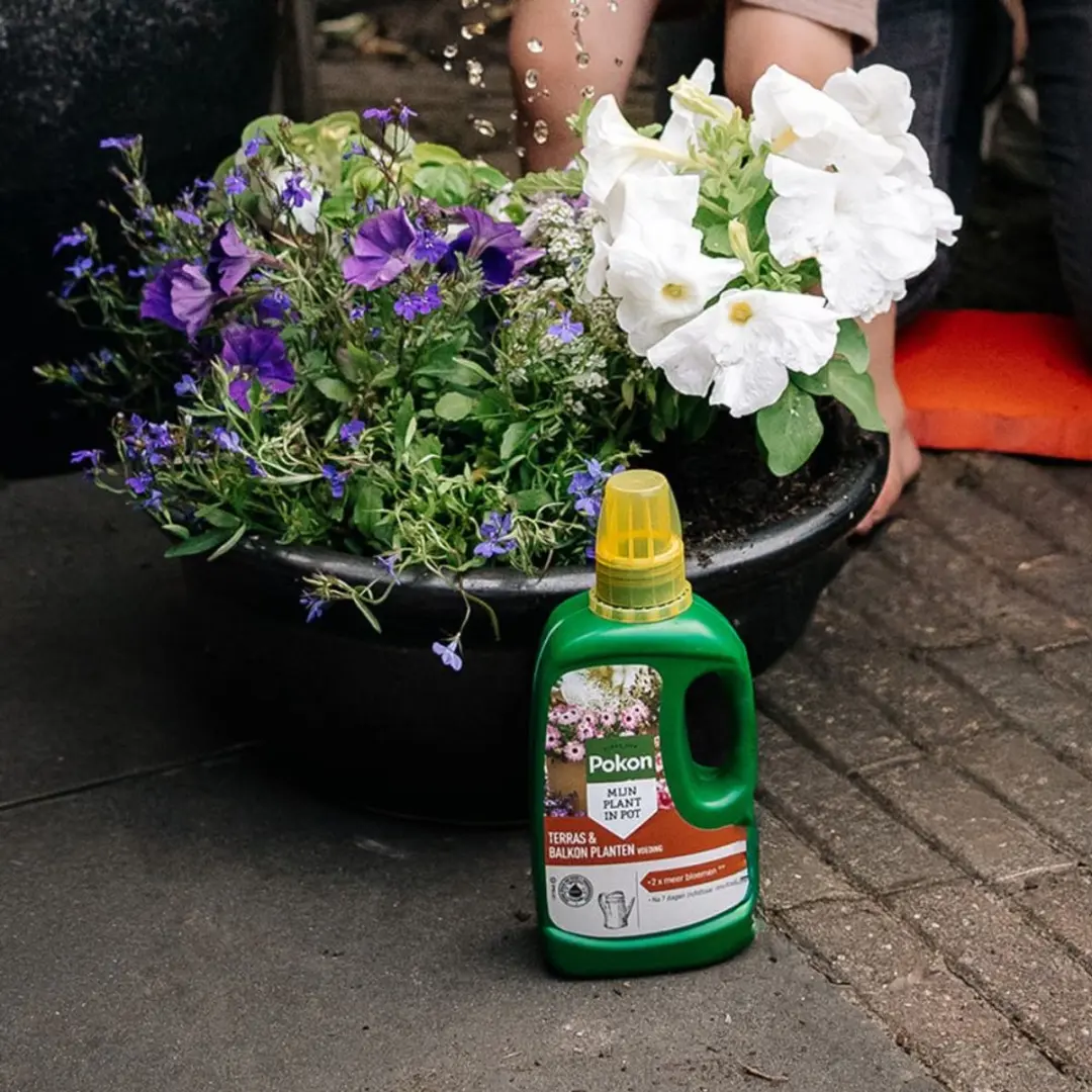 Pokon Terras & Balkonplanten Voeding 1L - afbeelding 5 van 6