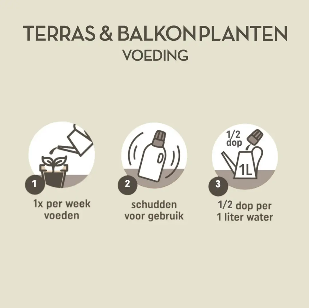 Pokon Terras & Balkonplanten Voeding 1L - afbeelding 6 van 6