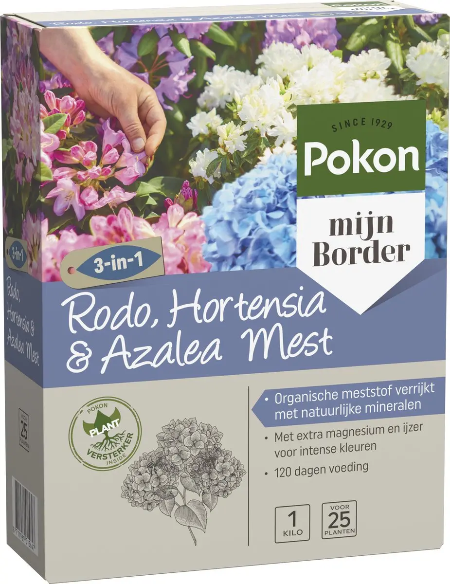 Pokon Rhododendron Hortensia & Azalea Mest 1kg - afbeelding 2 van 6