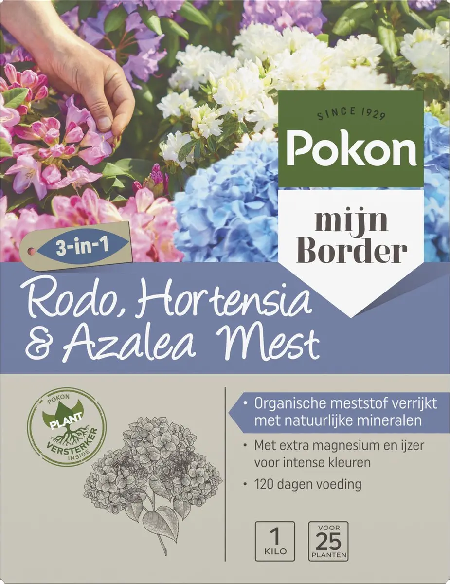 Pokon Rhododendron Hortensia & Azalea Mest 1kg