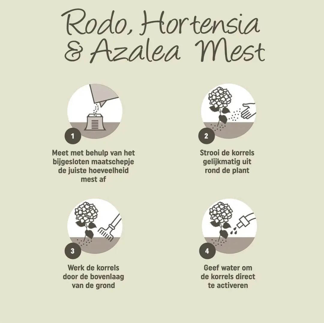 Pokon Rhododendron Hortensia & Azalea Mest 1kg - afbeelding 5 van 6