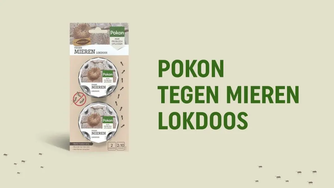 Pokon Tegen Mieren Lokdoos - 2 Stuks - afbeelding 6 van 6