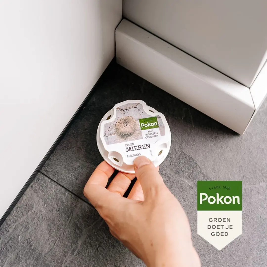 Pokon Tegen Mieren Lokdoos - 2 Stuks - afbeelding 3 van 6