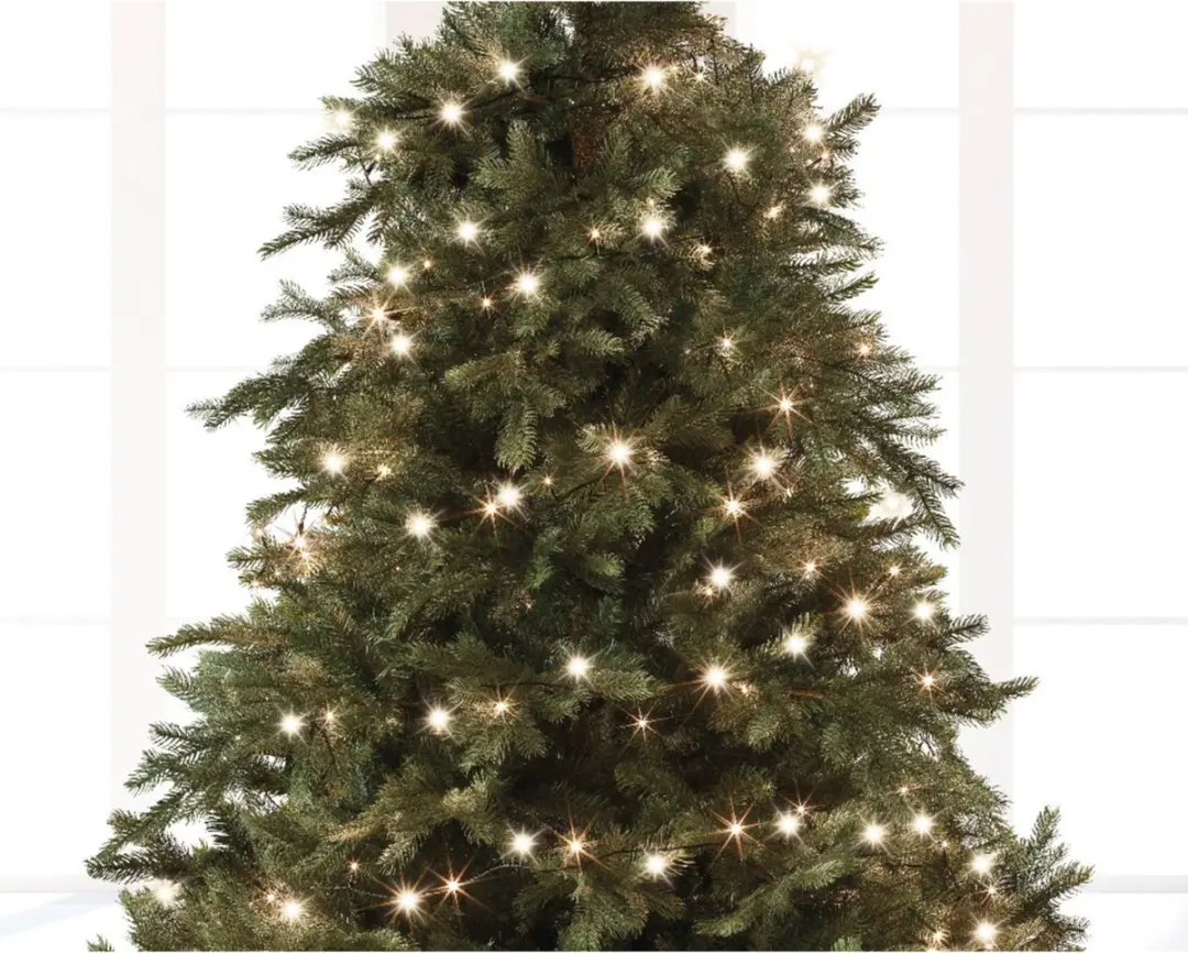 Lumineo Basic Twinkle Lights 360LED 27m - Warm wit - Zwart - afbeelding 2 van 6