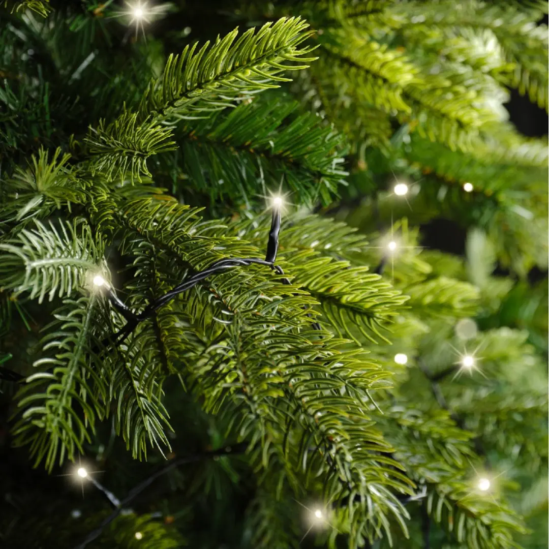 Lumineo Kerstverlichting 18m Warm Wit 240 LED - Zwart - afbeelding 3 van 6
