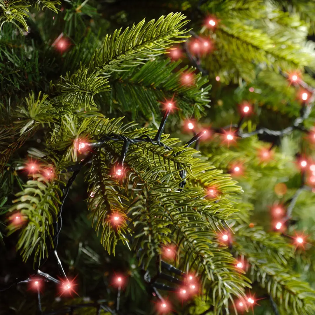 Lumineo Kerstlampjes 1000 Rood - 2250cm Twinkelend - Groen snoer