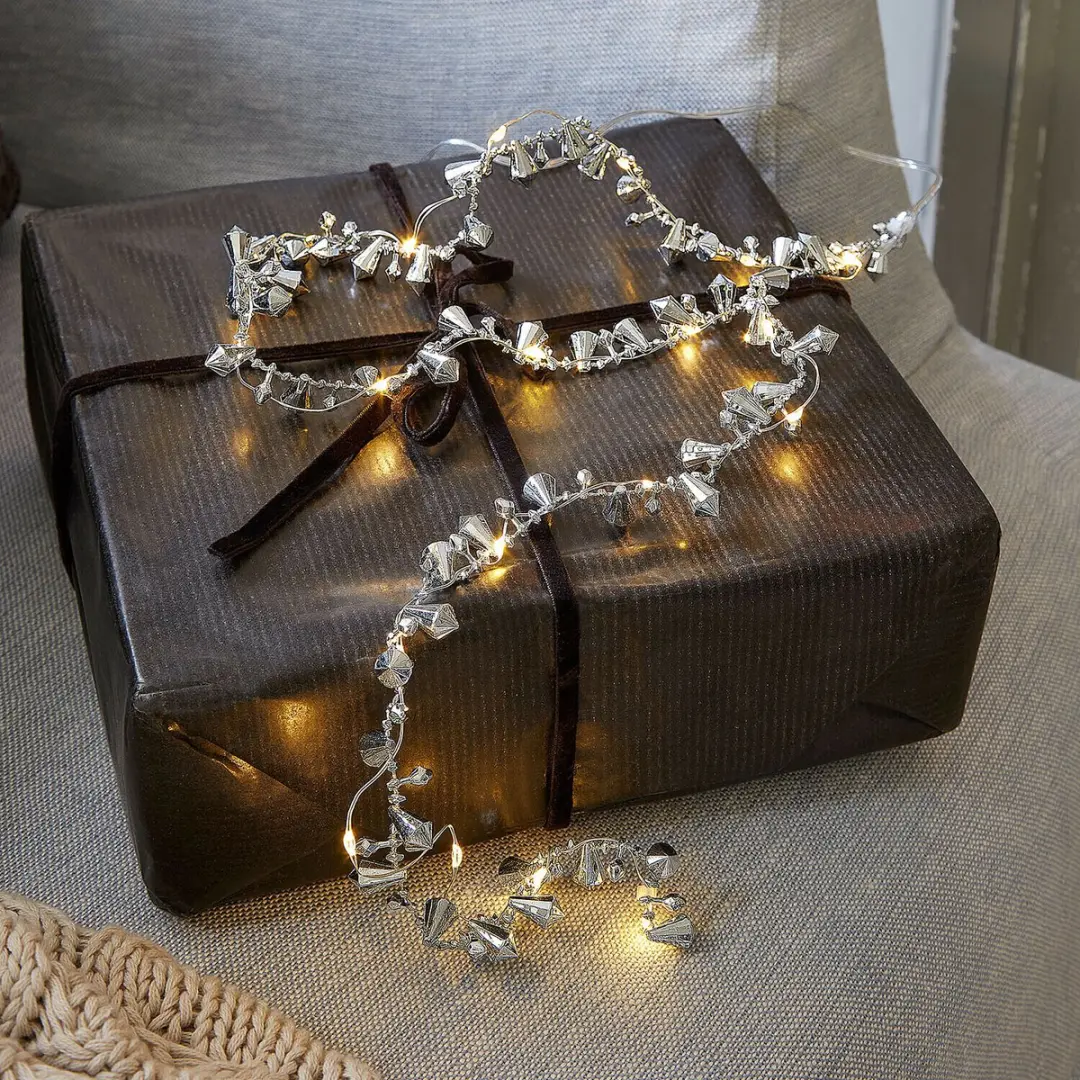 Loberon Bryesa Lichtsnoer - Warm wit - Zilver