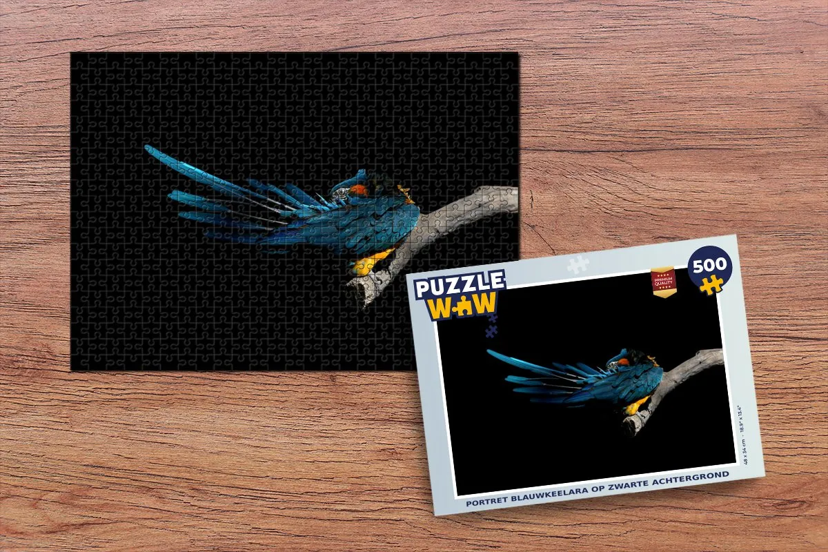 PuzzleWow Vogel Veren Tak Legpuzzel 500 Stuks - Multicolor