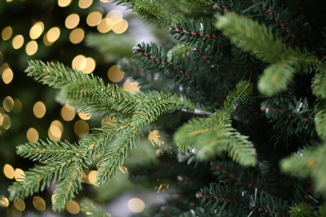 Famiflora Sherwood Kunstkerstboom 150cm - 1.668 Tips - Groen
