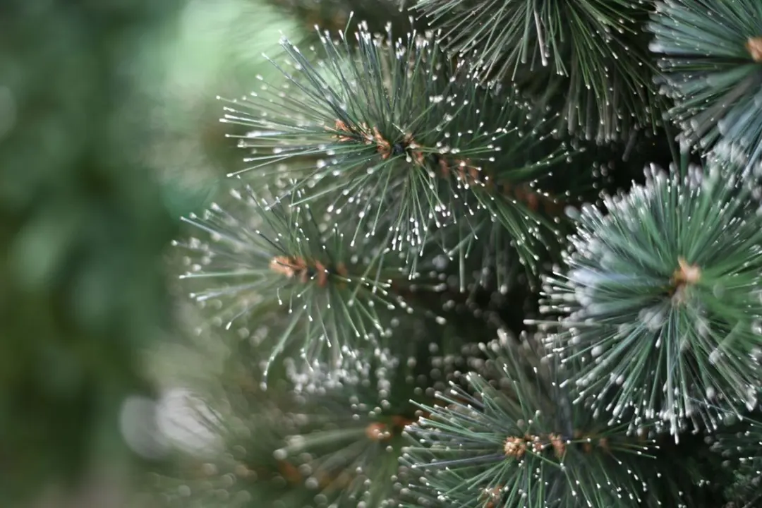 Famiflora Frosted Alpine Kunstkerstboom 225cm Groen - afbeelding 6 van 6