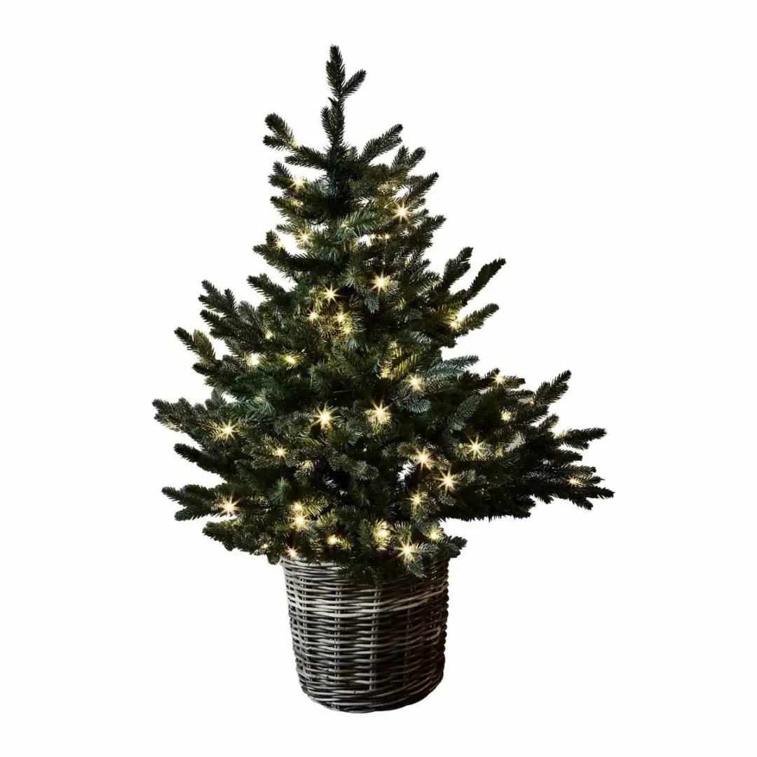 Loberon Mini Sierboom Mantilly Groen
