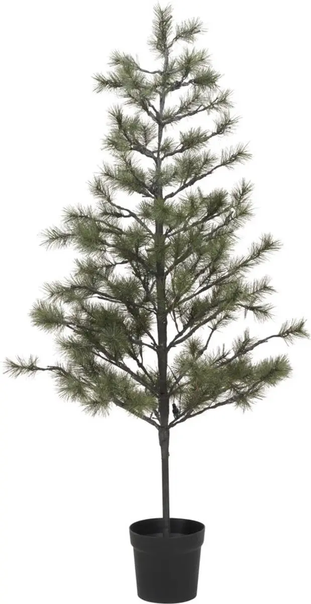 House Doctor Kerstboom Peuce natuur 180cm