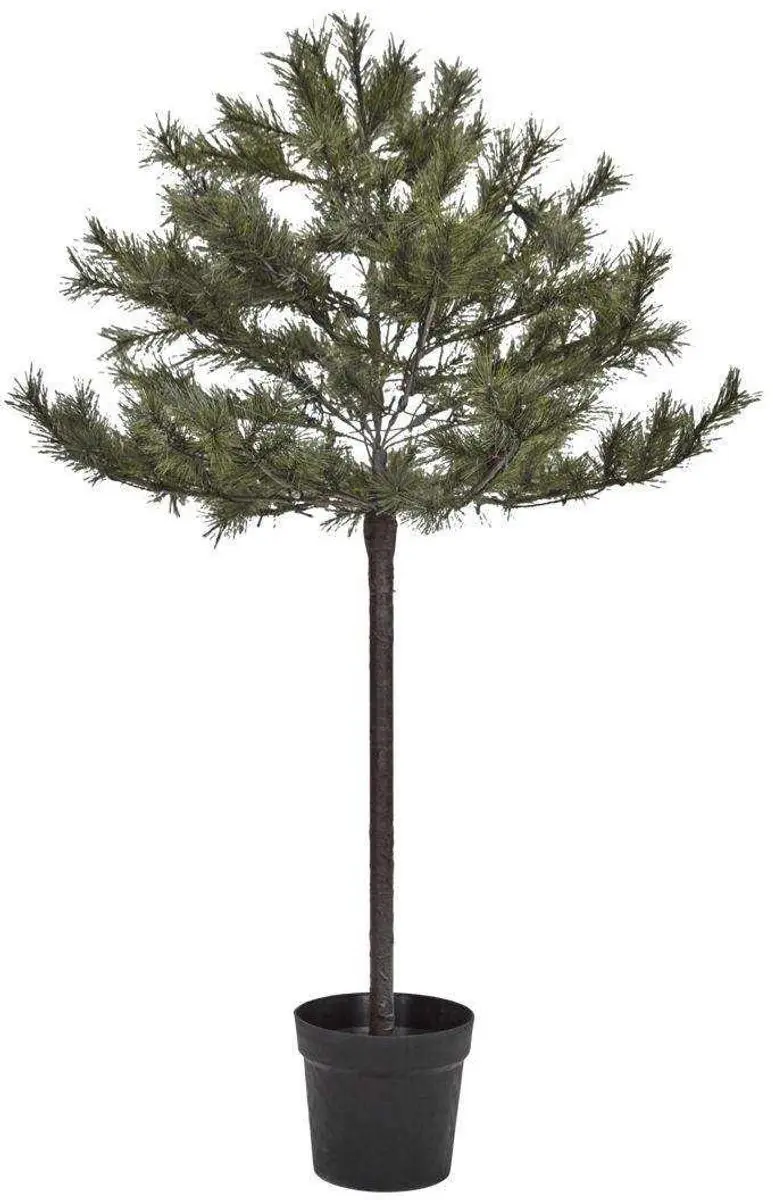 House Doctor Kerstboom Peuce natuur 150cm