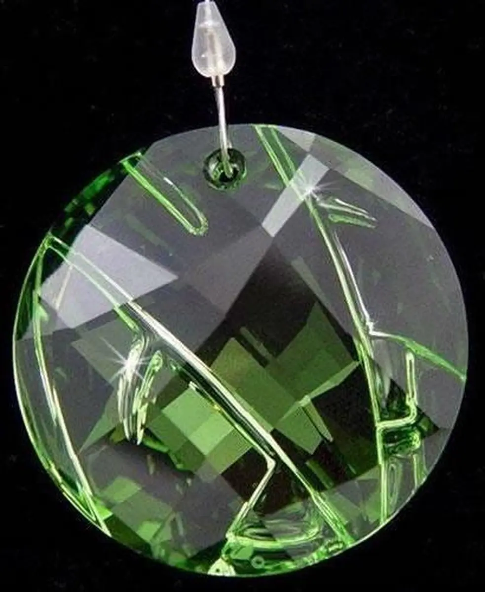 Swarovski beeldje Bamboo Ornament 905542