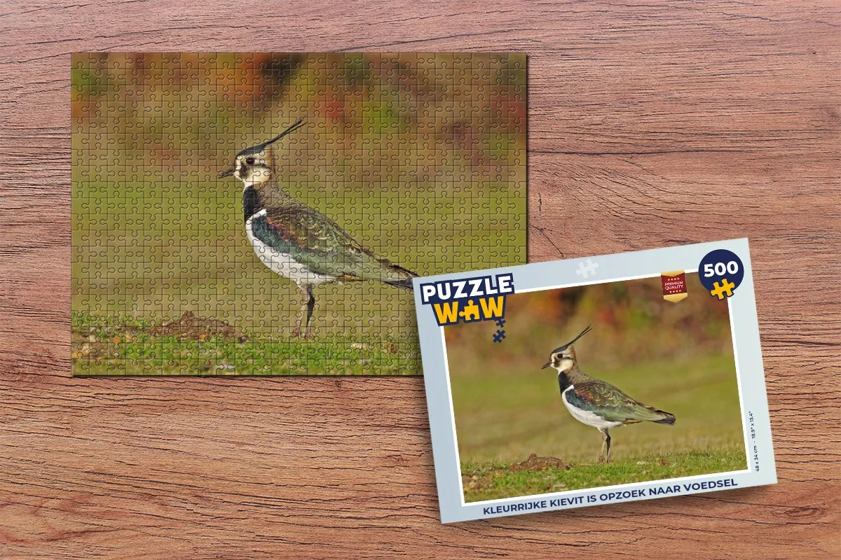PuzzleWow Legpuzzel Kleurrijke Kievit 500 Stuks - Multicolor