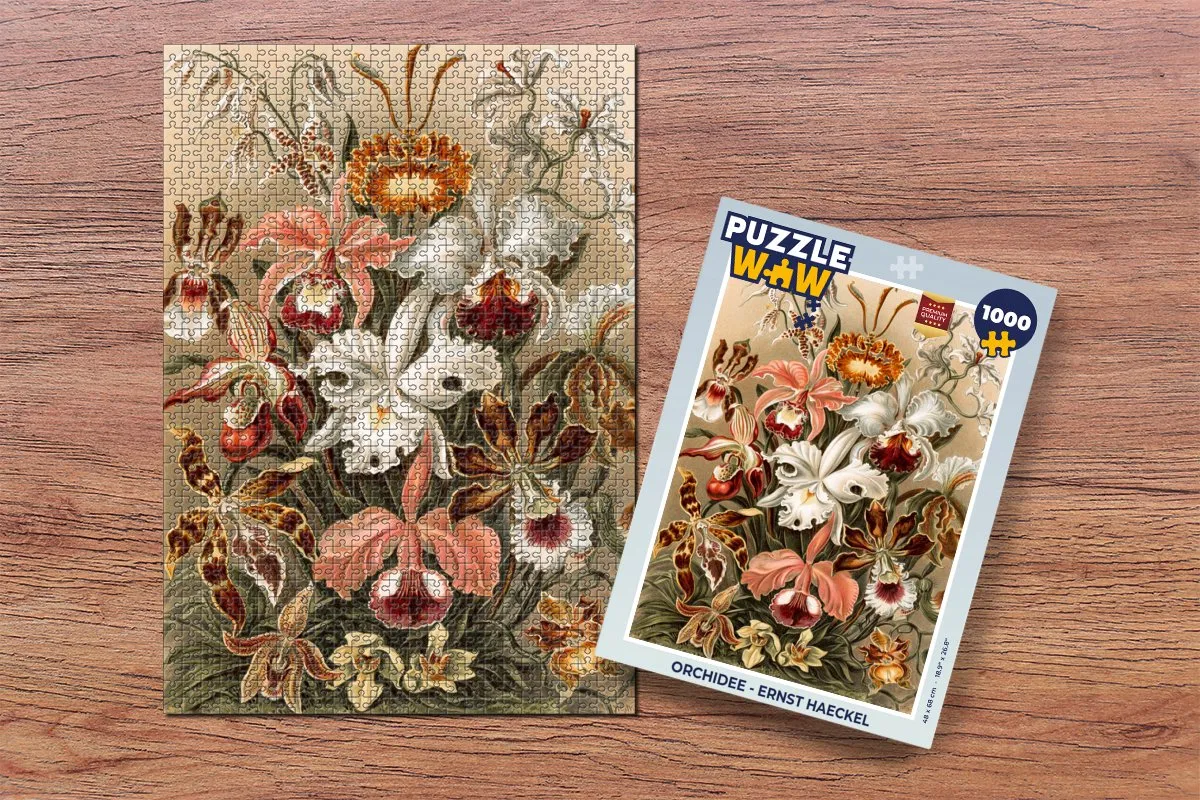 PuzzleWow Orchidee Ernst Haeckel Legpuzzel 1000 Stuks - Multicolor
