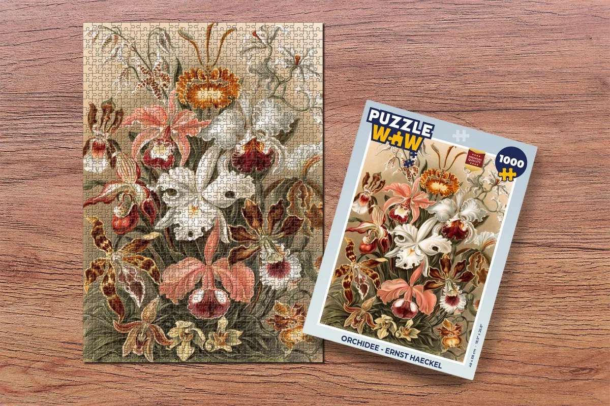 PuzzleWow Orchidee Ernst Haeckel Legpuzzel 1000 Stuks - Multicolor