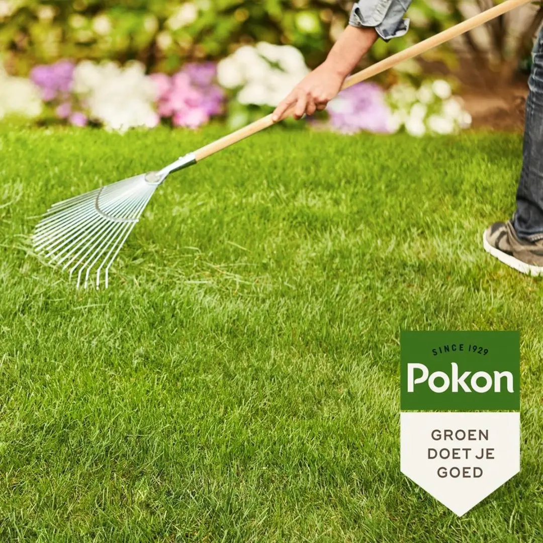 Pokon Gazonmest met Kalk 16,8kg - 250m² - afbeelding 6 van 6