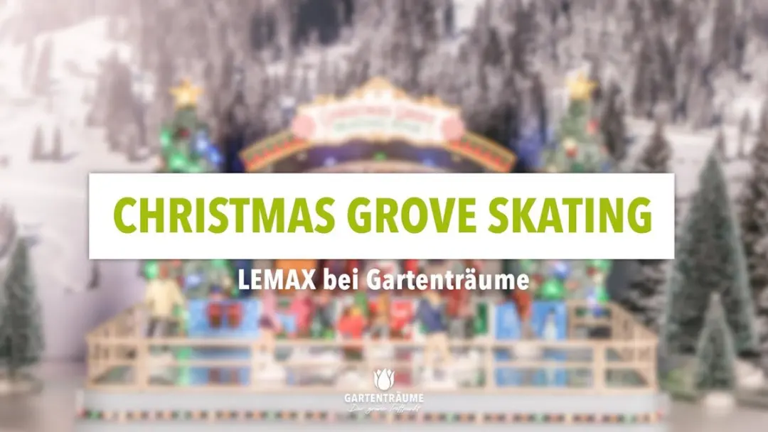 Lemax Christmas Grove Skating Rink Verlichte Attractie - Meerkleurig