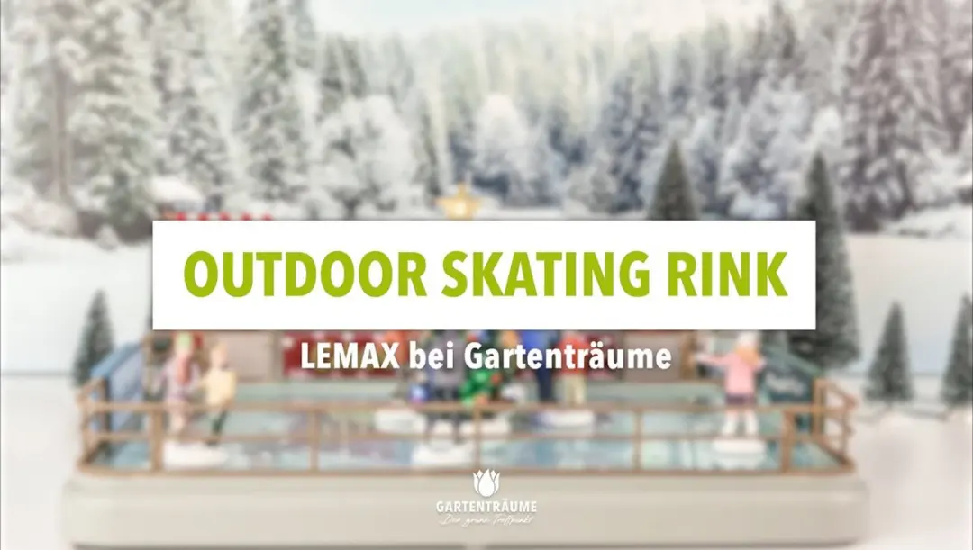 Lemax Outdoor Skating Rink - Kersthuisjes & Kerstdorpen - 4.5V Adapter