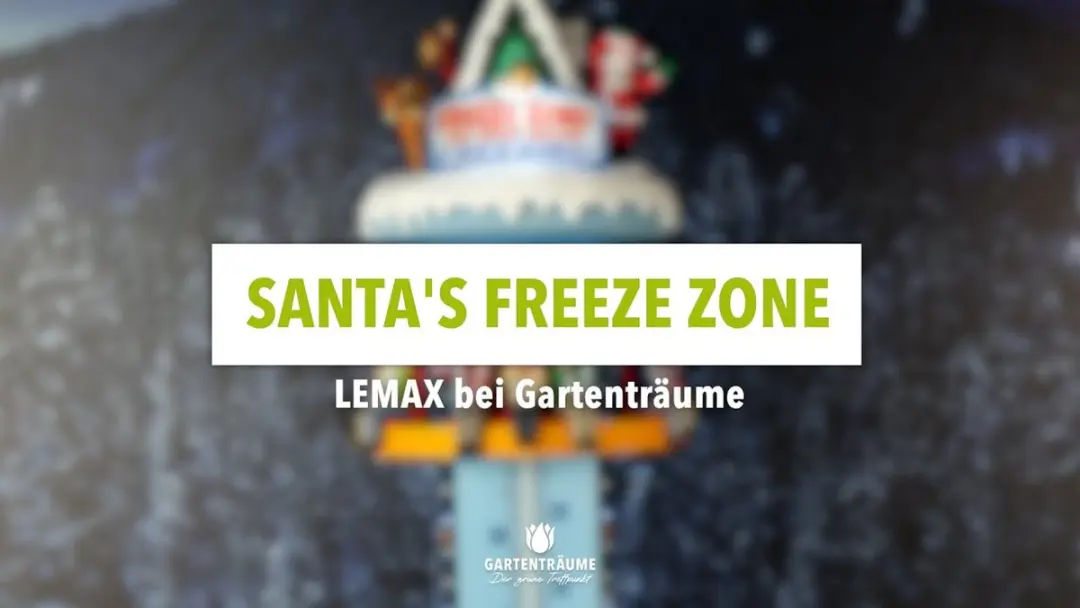 Lemax Santa's Freeze Zone Verlichte Attractie - Meerkleurig