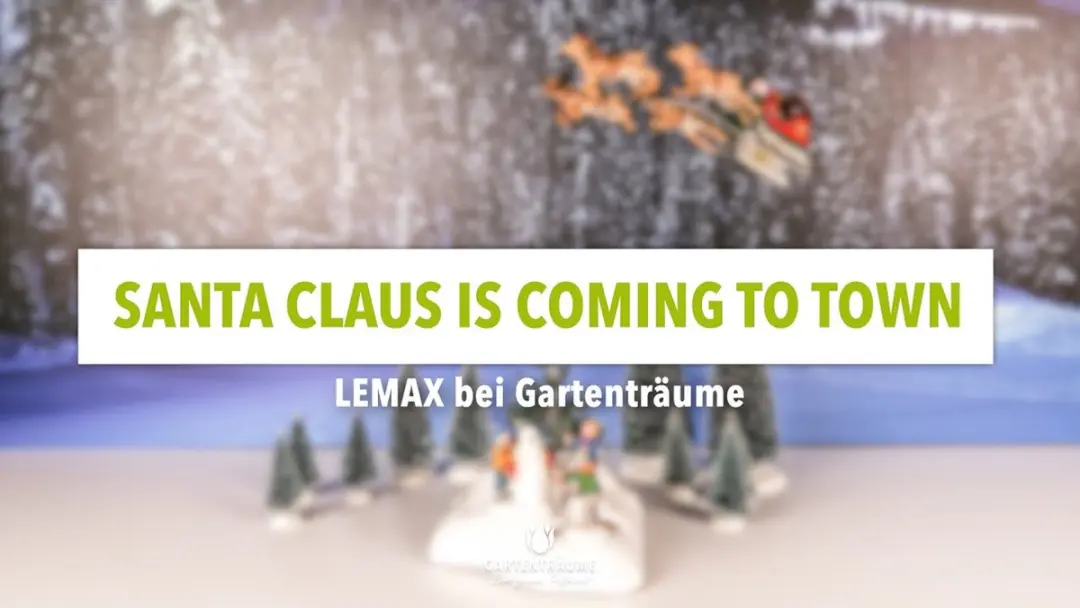Lemax Santa Claus Is Coming To Town - 4.5V Adaptor