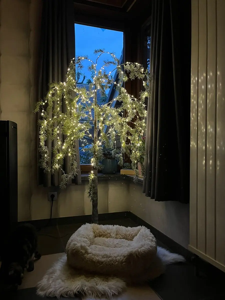 Lumineo Micro LED Boom Steady H150cm - Ø70cm - Buiten
