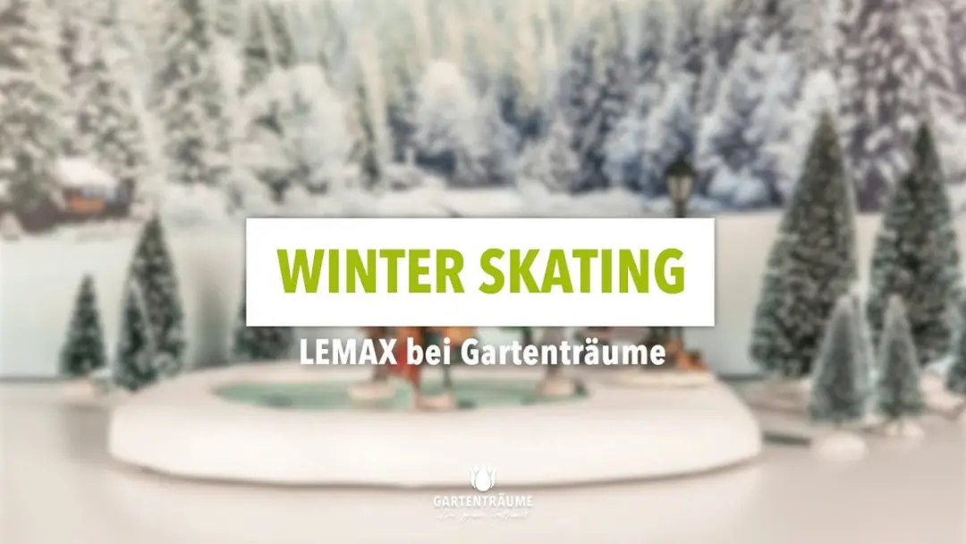 Lemax Kerstdorp Schaatsbaan - Set van 9