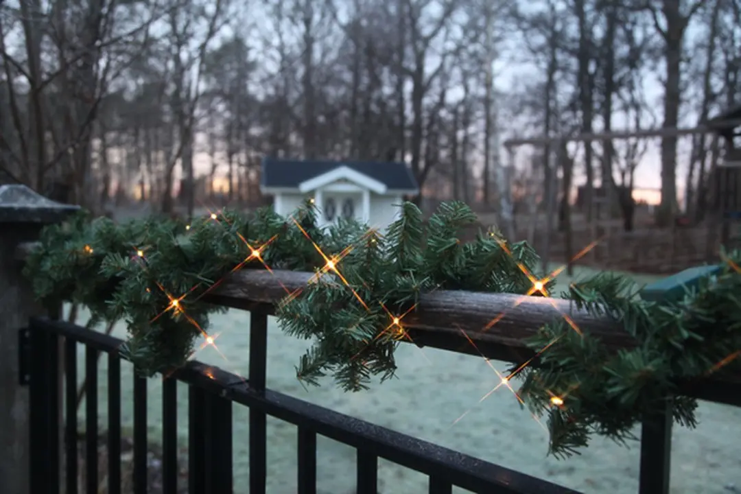 Star Trading Canadees Guirlande 250cm - 30 LED Groen